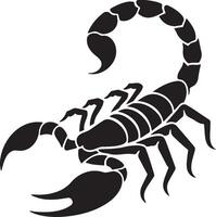 A Sorpion Sketch Drawing. vector
