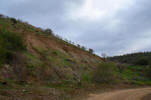 Natural landscape of a hillside after a recent landslide featuring lush greenery and overcast skies photo