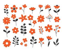 A collection of flowers and leaves in different colors vector