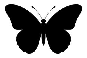 Isolated butterfly icon clean outline design vector