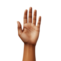Open Palm Hand Gesture with Realistic Shadows and Skin Texture. Isolated on a Transparent Background png
