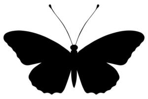 Butterfly drawing outline minimalist icon vector
