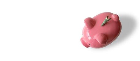 A piggy bank with money and white background. photo