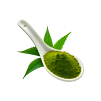 Spoon of neem leaf powder with fresh neem leaf on transparent background png