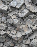 background is a dense pattern of gray stones of various shapes and sizes. The textured surface with cracks and chips creates an interesting visual effect. photo