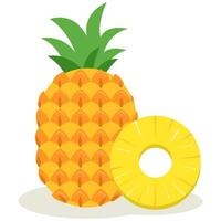 Pineapple and Slice A Delicious and Healthy Tropical Fruit vector