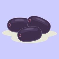 Juwet fruit , Jambolan plum or Javanese plum, scientific name Syzygium cumini vector
