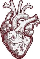 heart art design illustration stock photos vector