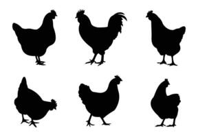 Silhouette chicken hens standing in field vector