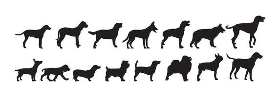 Set of standing dog silhouettes in various poses vector