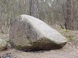 A large boulder resting on the forest floor, showcasing its weathered surface and the serene natural surroundings, ideal for nature lovers and geology enthusiasts. photo
