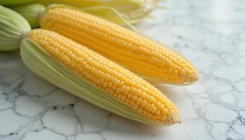 Fresh yellow corn on the cob, placed with husks partially peeled back, showcasing its kernels, perfect for cooking and nutritious meals. photo
