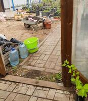 Farmyard with wheelbarrow and fruit tree seedlings in the background, real shot photo