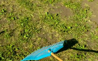 close-up work in the garden rake on the lawn with grass with spring sunny day photo