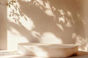 Serene Sunlight Bathing a Gentle Stone Platform, casting delicate leaf shadows on a warm, neutral backdrop. photo
