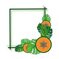 Decorative frame with papaya slices and monstera leaves vector