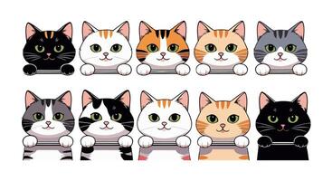Adorable Set of Cartoon Cats with Different Fur Patterns and Colors vector