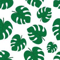 Seamless tropical pattern with green monstera leaves on white background. Repeating botanical texture. Minimal flat design for summer decor, wrapping, fabric or wallpaper. vector