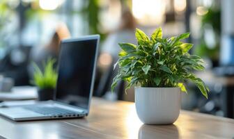 Empty computer screen in a modern office, featuring blurred colleagues working in the background and plants potted vibrant photo