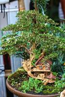 Miniature Bonsai Treehouse A Whimsical, Lush Green Scene photo