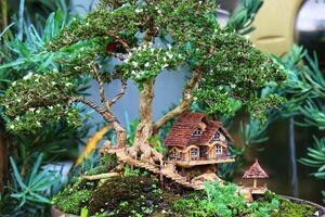Miniature Bonsai Treehouse A Whimsical, Serene Garden Scene photo
