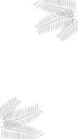 Blank white vertical background with palm leaf shadow. Suitable for wallpaper, product, presentation, etc. vector