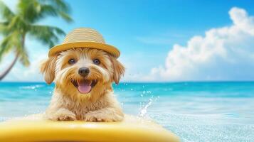 palm dog wearing summer Happy hat surfing on surfboard with tropical ocean in straw trees and blue sky photo