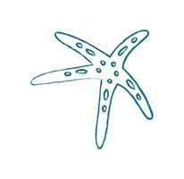 Starfish silhouette doodle crayon style. Marine creature in a flat style. Ocean life, graphic representation, undersea concept, potential for summer projects. vector