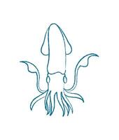 Chalk silhouette squid. Crayon ocean creature in abstract style. Underwater animal, flat design, potential use for marine themes, educational content, or creative projects. vector