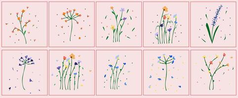 Various types of wild flower illustration vector