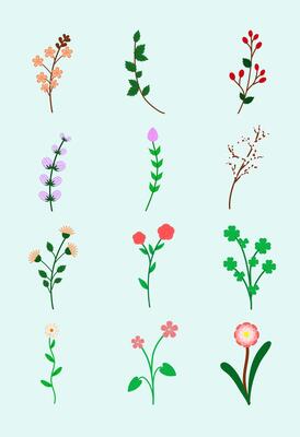 Set of collection wild flower