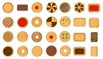Various types of biscuits vector