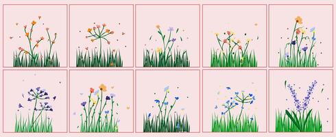 Set of collection wild flower and grass hand drawn vector