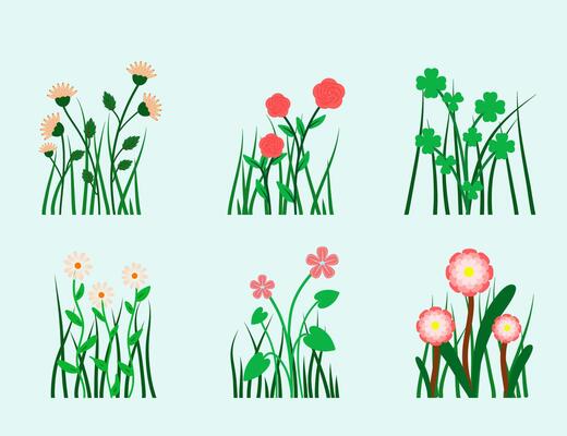 Set of collection wild flower and grass illustration