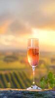 Glass of sparkling rose prosecco framed by grapevines. Vertical format photo