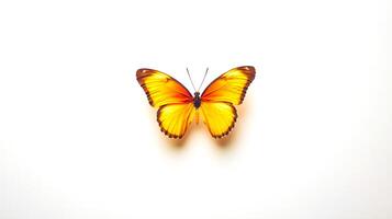 Golden butterfly with delicate orange wings on a white background photo