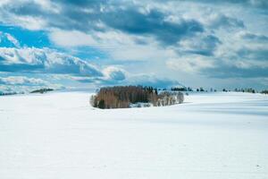 Capturing a beautiful winter landscape, featuring a snow-covered field and a tranquil forest beneath a cloudy sky, evokes a serene and peaceful atmosphere in nature's pristine setting photo