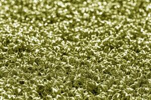 A close up of a field of grass photo