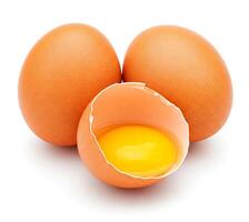 Group of brown chicken eggs and one broken open egg showing its yolk, isolated on white background photo