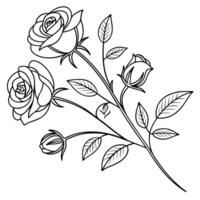 Minimal line-art floral pattern, continuous thin black lines of roses and leaves on white background, Scandinavian style vector