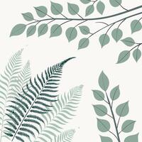 Watercolor eucalyptus and fern leaves pattern, soft green and gray tones, seamless layout, calming vector
