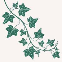 Seamless trailing ivy vines, flat green on light background, clean, airy vector
