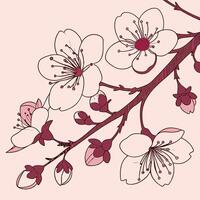 Seamless sakura blossom pattern, Japanese style cherry flowers on soft pink background, elegant and delicate vector