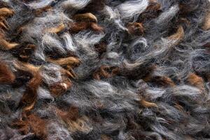 Closeup of natural alpaca wool fleece in shades of brown, gray, and white. Detailed texture of mixed color fibers. Sustainable resources, felting craftsmanship, design, warmth concept. 02 photo
