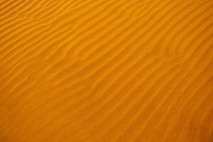 Closeup of sand ripples on a beach. Natural rhythmic wave like pattern formed by wind and water. Textured background displaying the delicate wavy texture of coastal landscape. 01 photo