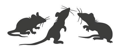 Mouse. Set of black isolated rats hand drawn spot silhouettes in different poses, emotions and movements. Contour free hand sketch of rodents for coloring books, postcards, printing vector