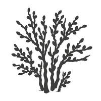 Willow silhouette. Isolated outline illustration of willow bush. Single natural object from Signs of Spring collection for winter, spring or autumn season, background or landscape creation vector