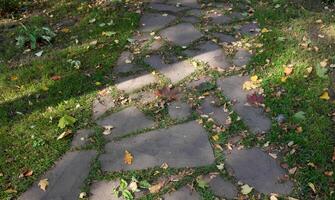 On a sunny day, there is a path in the grass made of concrete broken tiles. A stone-tiled parkway overgrown with grass. photo