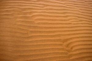 Closeup of sand ripples on a beach. Natural rhythmic wave like pattern formed by wind and water. Textured background displaying the delicate wavy texture of coastal landscape 02 photo