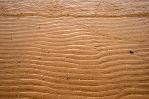 Closeup of sand ripples on a beach. Natural rhythmic wave like pattern formed by wind and water. Textured background displaying the delicate wavy texture of coastal landscape 03 photo